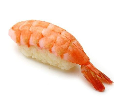 Shrimp Nigiri